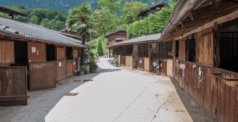 passeggiate-a-cavallo-bergamo-lombardia