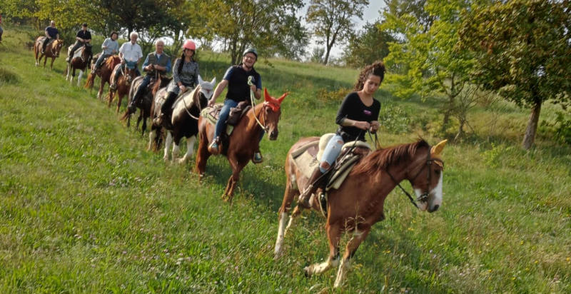 Percorso a cavallo tra i Colli Euganei a Montegaldella