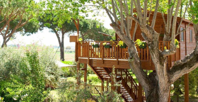 Pernottamento casa sull'albero Lazio