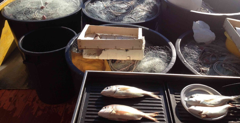 Pesce fresco pranzo bordo peschereccio Imperia