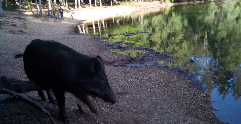 Panorama del Gargano durante un'escursione in 4x4