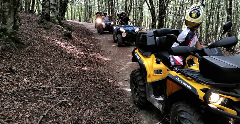 Esplorazione in quad dei boschi verdi dei Nebrodi