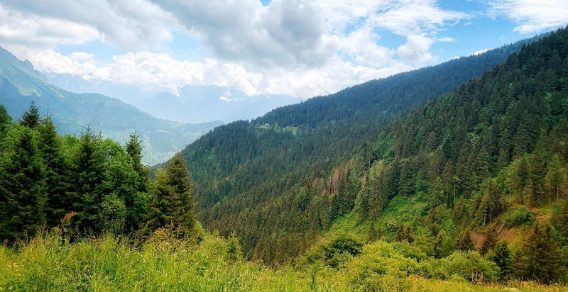 Avventura offroad in quad tra natura e boschi della Val Camonica