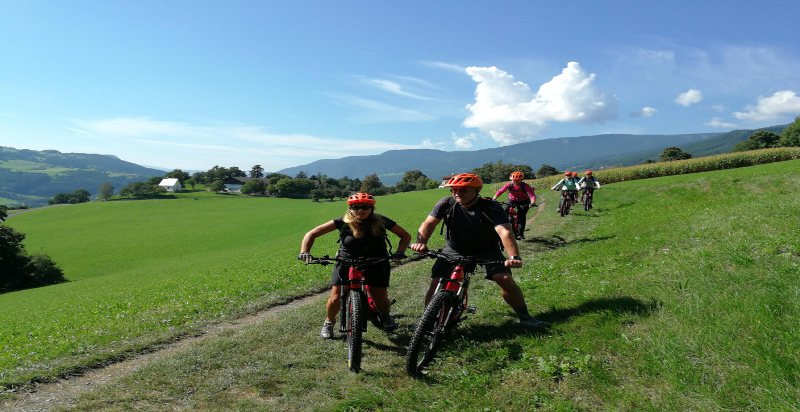 Panorama mozzafiato sulle Dolomiti e sui vigneti della Valle Isarco