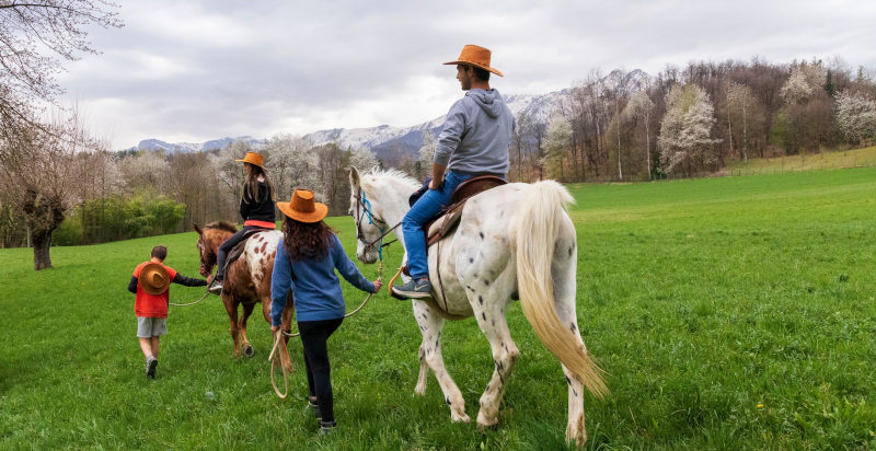 Cavallo e guida durante escursione in montagna