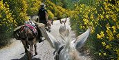 Escursioni trekking in Abruzzo con asini