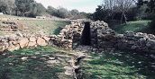 Esperienza in Ape Calessino tra natura e storia a Olbia