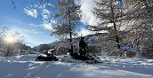 Panorama alpino con pini e larici coperti di neve