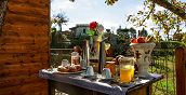 Colazione servita nella casa sull’albero a Rogliano