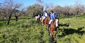 cavallo-passeggiata-siracusa-sicilia