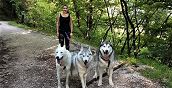 Dog Trekking in Alto Adige – Escursioni con gli Husky nella natura