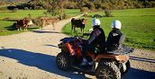 Escursione in quad in Abruzzo verso la Valle Giumentina immersa nella natura
