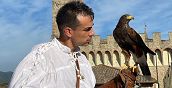 Falco durante un'esperienza di falconeria in Toscana a Ponte Buggianese