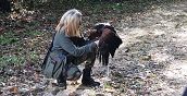 Giornata di falconeria a Vetralla, Viterbo