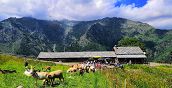 Paesaggio montano con malga e pascoli in Piemonte