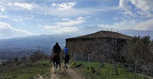 gita-giornaliera-sicilia-cavallo