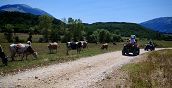 Guida in quad tra i sentieri dell’Abruzzo, tra boschi, borghi e panorami montani spettacolari