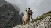 Trekking con i lama in Alto Adige tra panorami mozzafiato