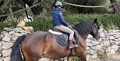 lezione di ecquitazione - ragazza sul cavallo nel parco Asinolla