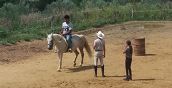 Lezione di equitazione a Enna, cavallo e istruttore in campo