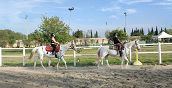 Imparare a cavalcare a Verona, lezione di equitazione