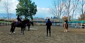 Centro Equestre immerso nella natura vicino a Benevento