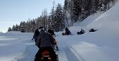 Escursione guidata in motoslitta a Sauris in Friuli