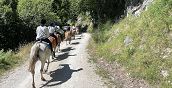 Natura selvaggia in Abruzzo con passeggiata a cavallo