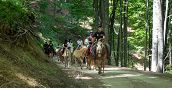 Passeggiata a cavallo nei boschi di Rocca Santa Maria in Abruzzo