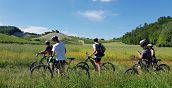 Tour in mountain bike elettrica tra vigneti e borghi del Monferrato