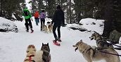 Avventura con husky nella neve