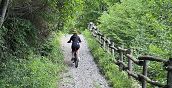 Sentieri immersi nella natura per il tour in e-bike in Valle Camonica