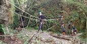 Tarzaning in Val di Sole, un'avventura tra zipline e ponti tibetani