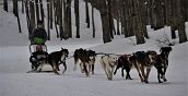 Partecipanti felici durante un'escursione sleddog in Trentino
