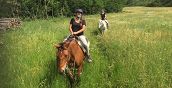 Passeggiata a cavallo a Firenze con degustazione vino oppure olio d'oliva