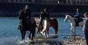 Escursione a cavallo lungo le rive del fiume Adige