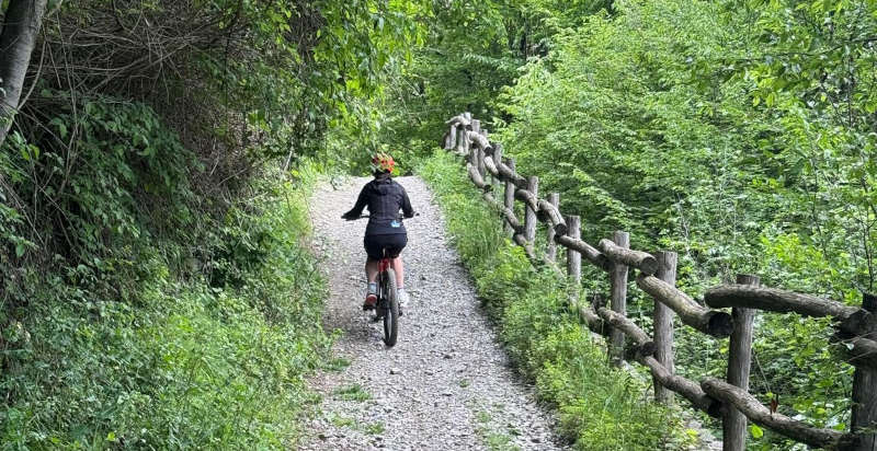 Sentieri immersi nella natura per il tour in e-bike in Valle Camonica