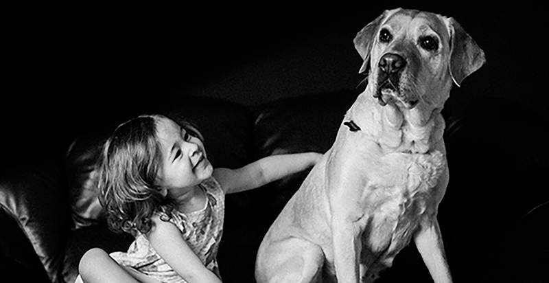 Servizio fotografico con animali Modena