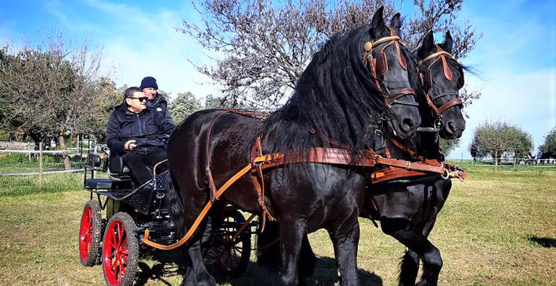 Passeggiata in carrozza a Linguaglossa, Catania, tra panorami siciliani