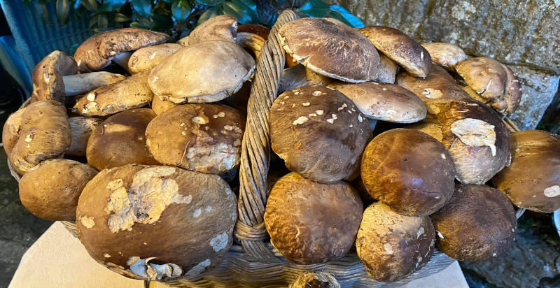 Prodotti tipici territorio laziale