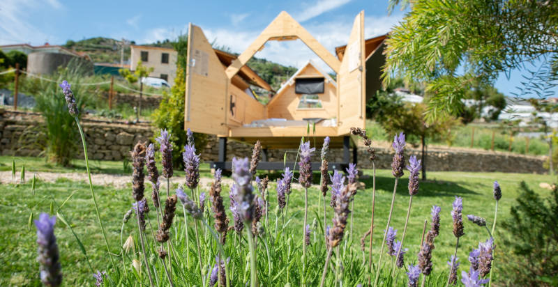 Terrazza verde della StarsBox a Sanremo con natura circostante