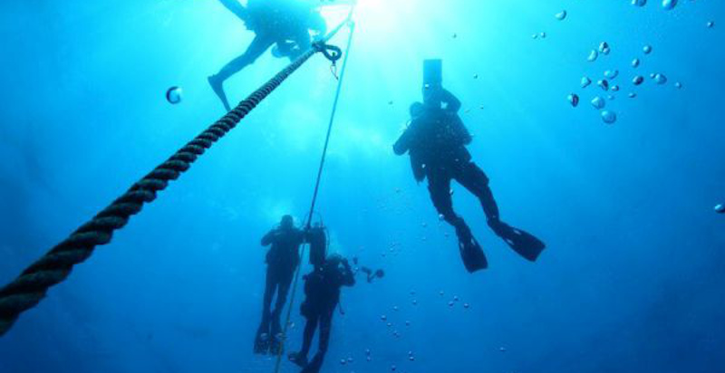 Immersione guidata prova corso sub Agropoli per principianti