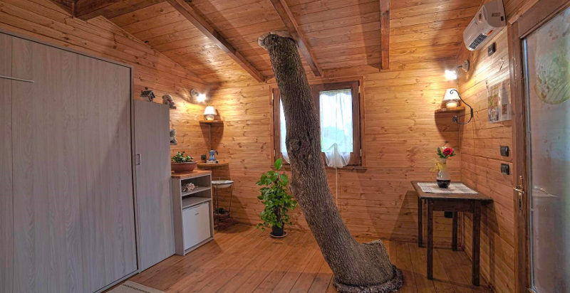 Rifugio sospeso tra i rami: relax e avventura nella casa sull’albero