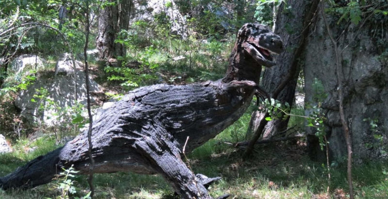 Percorso 3D di tiro con l’arco tra gli alberi del Trentino