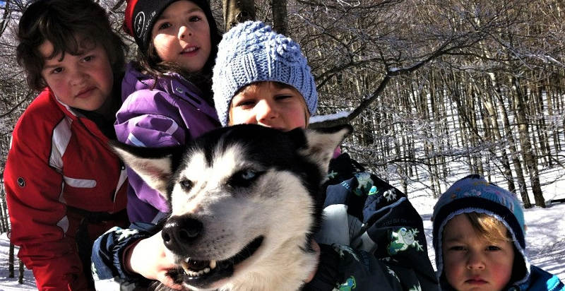 Bambini giocano con cani da slitta in Trentino