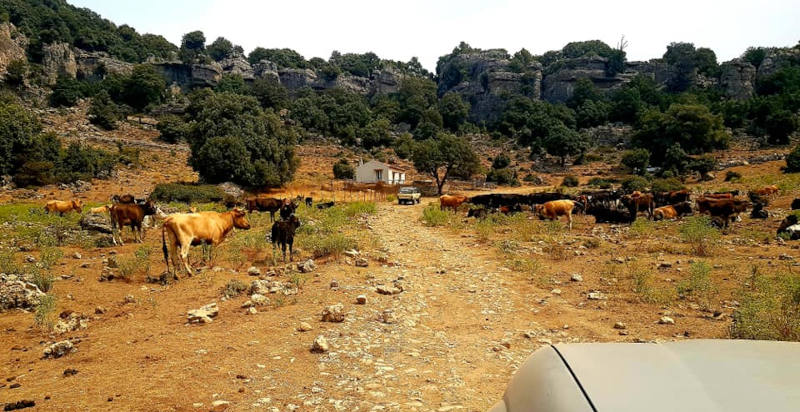 Tour in fuoristrada attraverso il Monte Gentilis