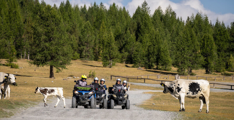 tour guidata in quad alpeggio a Sauze di Cesana Torino