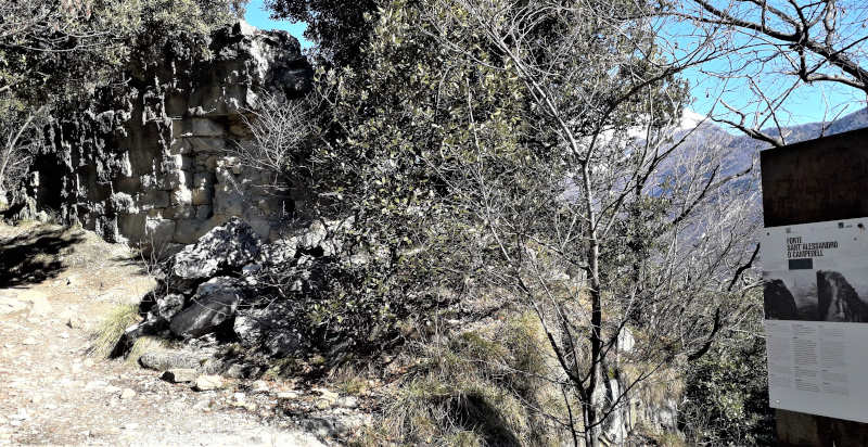 Fiori selvatici mediterranei durante il trekking Lago di Garda