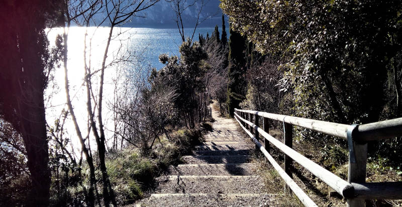 Sentiero tra uliveti nel trekking sul Monte Brione