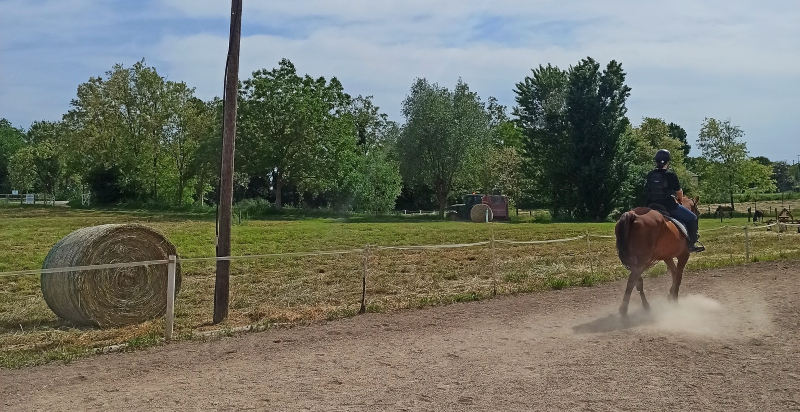 Un giorno al ranch Bosaro Rovigo